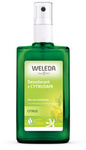 Deodorant Spray 24 h mit Zitrusfrüchten eco 100 ml - Weleda