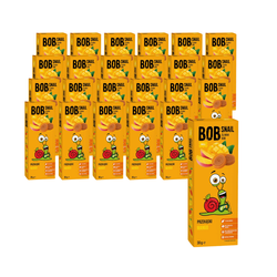 SET 24 x Mango-Snack ohne Zuckerzusatz 30 g