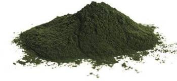 Chlorella-Pulver (Algen) BIO (Rohmaterial) (20 kg) 1
