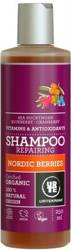 Nordische Beeren Regenerierendes Haarshampoo BIO 250 ml - Urtekram