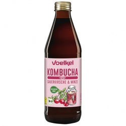 Kombucha Kirsche-Minze BIO 330 ml