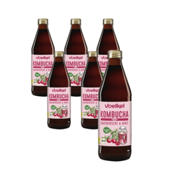 SET 6 x Kombucha Kirsche-Minze BIO 330 ml