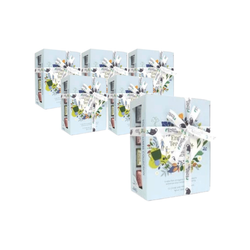 Welness Pyramiden-Teeservice (12x2) BIO 24 g