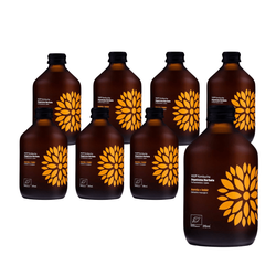 SET 8 x Kombucha Ingwer+Acerola BIO 330 ml
