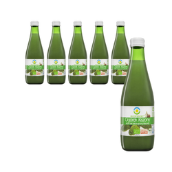 SET 6 x Eingelegte Gurken Saft ohne Zucker BIO 300 ml