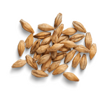 Verarbeiteter Weizen KUTIA 1kg - TOLA