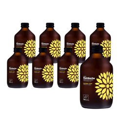SET 8 x Kombucha Kurkuma + Ingwer BIO 330 ml