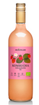 Kombucha Erdbeere bio 750 ml - Delikat (Sauerteig)