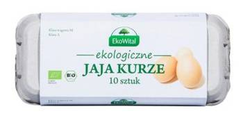 Eier BIO M ( 10 Stück )