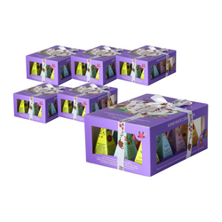 SET 6 x Bio Pyramide Früchtetee Kollektion (Super Fruits - 6 Geschmacksrichtungen) (12 x 2 g) 24 g - English Tea Shop Bio