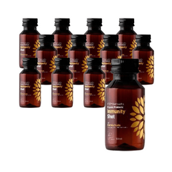SET 12 x Kombucha BIO Probiotische Immunität Shot 100ml