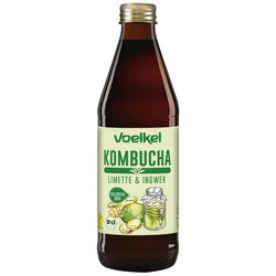 Kombucha Limette-Ingwer BIO 330 ml