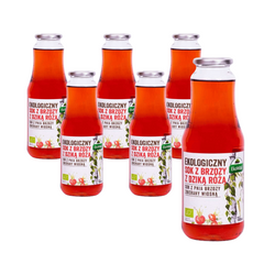 SET 6 x Birkenbeerensaft mit Hagebutte BIO 1 l