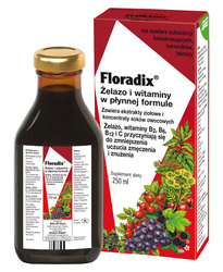 Eisen + B-Vitamine, Vit. C flüssiges Nahrungsergänzungsmittel 250 ml - Salus (Floradix)