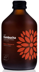 Kombucha Himbeere + Rosmarin BIO 330 ml