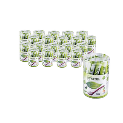 Xylit in Beuteln (40 x 5 g) 200 g
