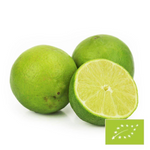 Frische BIO-Limetten - ca. 4 kg