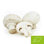 Frische polnische weiße Champignons BIO - ca. 3 kg