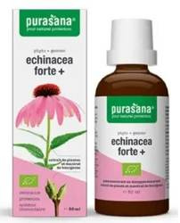 Echinacea forte (Echinacea purpurea) Tropfen Nahrungsergänzungsmittel bio 50 ml