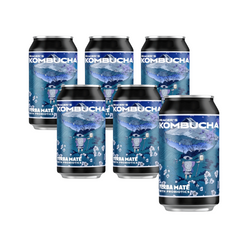 SET 6 x Prager's Kombucha Yerba Mate Dose 330ml