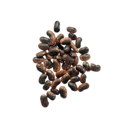 Bunte Jas-Bohnen 250 g - TOLA