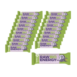 SET 20 x RAW ENERGY BIO Schwarze Johannisbeere-Kokos-Riegel Gfree. BIO 50 g