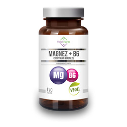 Magnesium (Magnesiumcitrat) + Vitamin B6 Nahrungsergänzungsmittel 120 Kapseln (97,5 mg + 1,4 mg)