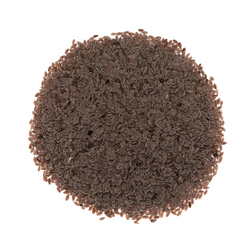 Flohsamen (Psyllium) 1 kg - Tola