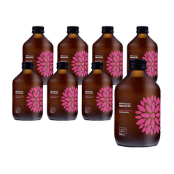 SET 8 x Kombucha Mango + Passionsfrucht BIO 330 ml - Vigo