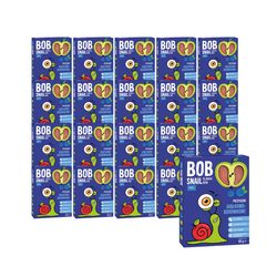 SET 20 x Apfel-Blaubeer-Fruchtsnack ohne Zuckerzusatz 60 g