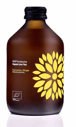 Kombucha Kurkuma + Ingwer BIO 330 ml