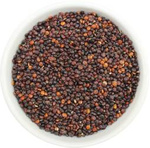 Bio Schwarze Quinoa (Rohware) 25 kg – Bio Planet