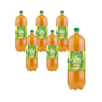 Kombucha grüner Tee BIO 2 l