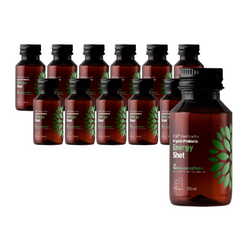 SET 12 x Kombucha BIO Probiotic Energy Shot 100ml