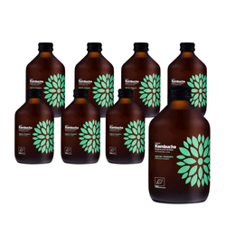 SET 8 x Kombucha Gurke+Koriander BIO 315 ml