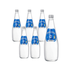 SET 6 x Natürliches Mineralwasser mit hohem CO2-Gehalt 0,7 l