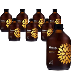 Satz von 8 x Kombucha Yerba Mate Bio 330 ml