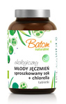 Junger Gerstensaft Pulver + Chlorella 500 mg Tabletten Nahrungsergänzungsmittel 120 g - Batom