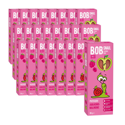 SET 24 x Apfel-Himbeer-Fruchtsnack ohne Zuckerzusatz 30 g