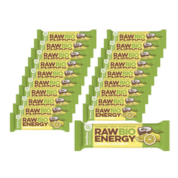 SET 20 x RAW ENERGY BIO Zitrone-Kokosnuss glutenfreier Riegel BIO 50 g