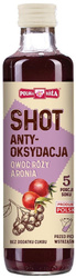 SHOT Antioxidationsmittel 250 ml
