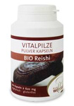 Reishi-Pilze (Lackwurz) BIO 100 Kapseln (620 mg)