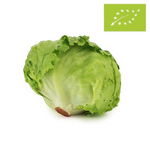 Frischer Eisbergsalat bio (ca. 0,30 kg)