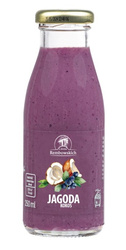 Heidelbeer-Kokosnuss-Smoothie 250 ml - Rembowcy
