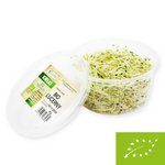 Frische Alfalfa-Sprossen BIO (ca. 50 g)