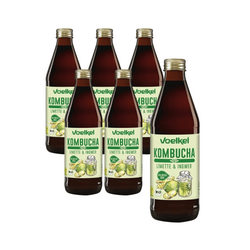 SET 6 x Kombucha Limette-Ingwer BIO 330 ml