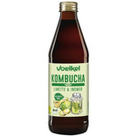 Kombucha Limette-Ingwer Bio 330 ml – Voelkel