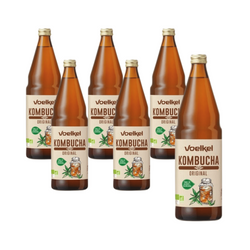 SET 6 x Kombucha BIO 750 ml