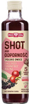 SHOT für Immunität "Polnische Früchte" 250 ml