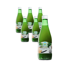 Saurer Selleriesaft, zuckerfrei BIO 300 ml